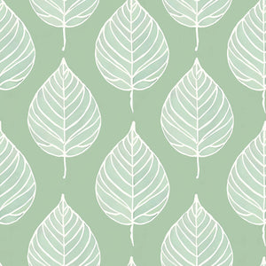 Mint Harmony wallpaper with white leaf silhouettes on mint green, ideal for modern nurseries and playrooms. Abstract and tranquil design.