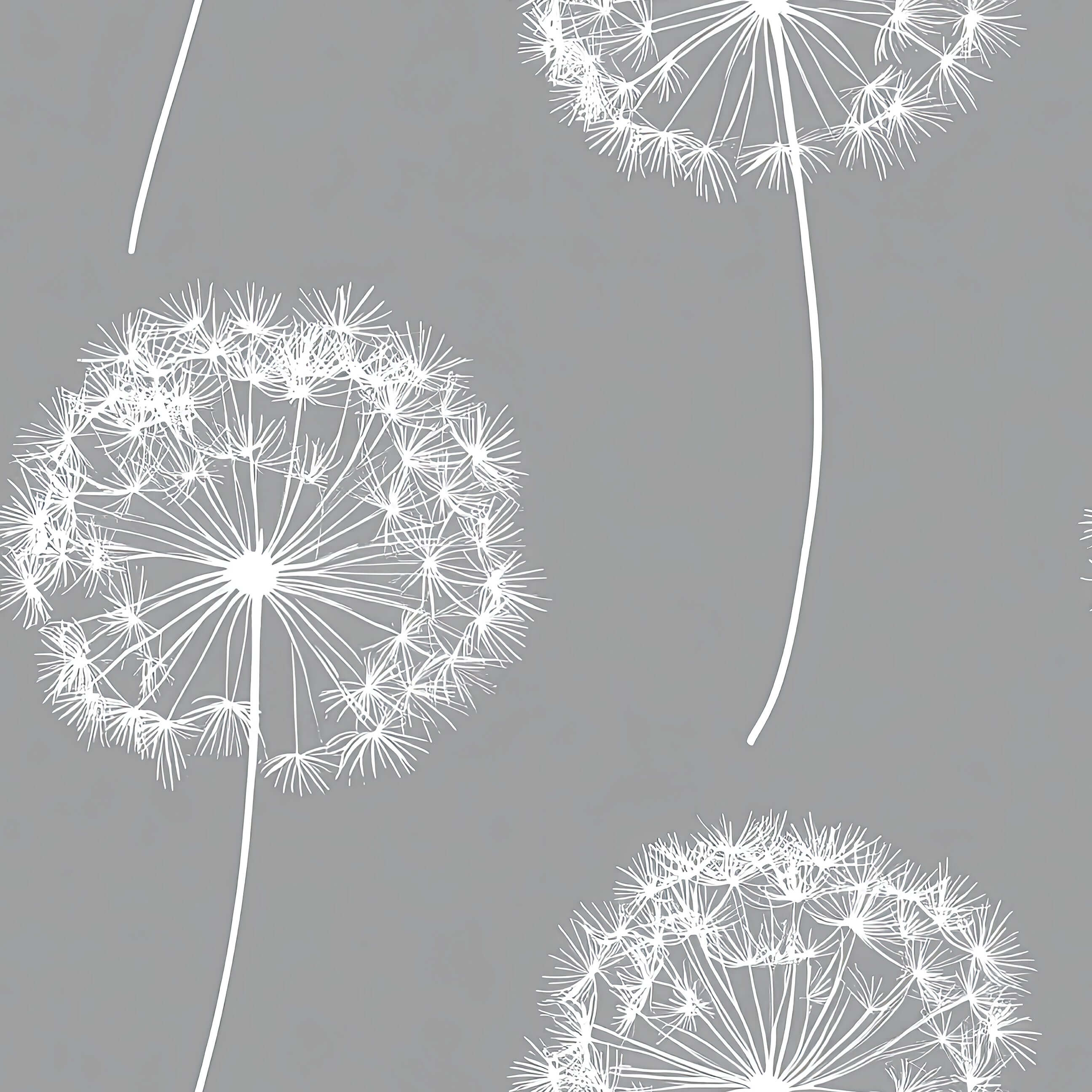 Dreamy Dandelion Wallpaper with white dandelions on charcoal gray, perfect for a baby's nursery or children's playroom.