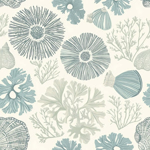 Coastal wallpaper featuring hand-rendered seashells, coral branches, and sea anemones in soft blue and seafoam tones for beach decor.