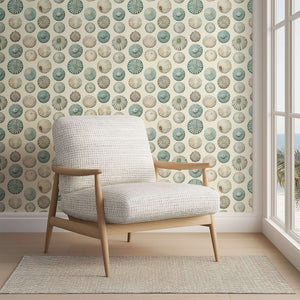 Elegant sea urchin shells wallpaper in coastal ivory, sage, and aqua, enhancing a modern beach design with organic texture.