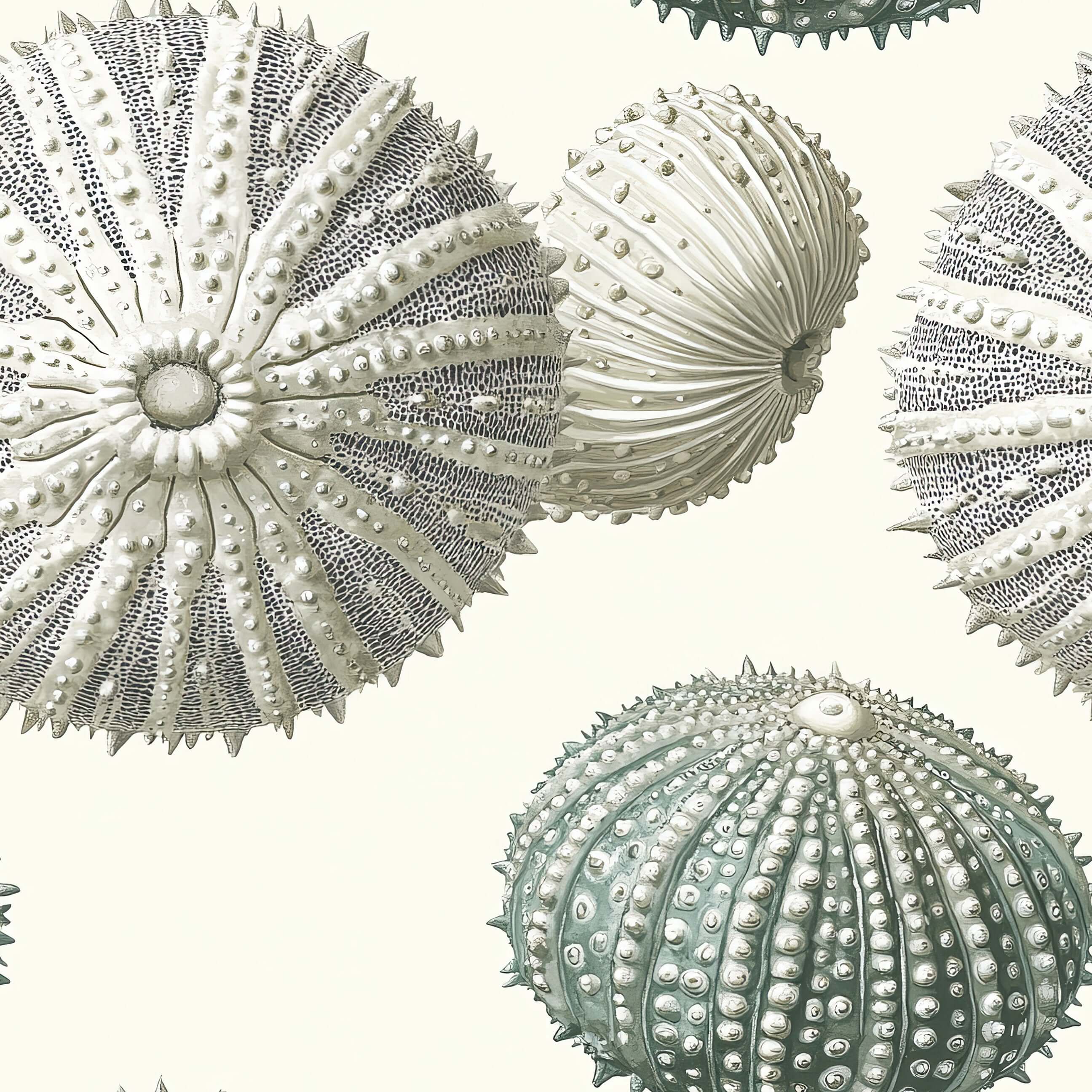 Nautical Luxe wallpaper featuring detailed sea urchin shell designs in coastal neutral and greenish tones for modern beach decor.