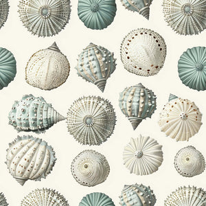 Elegant Ocean Gems wallpaper featuring seashell designs in coastal shades, perfect for modern beach-inspired interior décor.