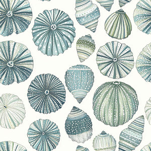 Aqua Treasures coastal wallpaper with sea urchins and seashells in aqua, jade, and blues. Modern beach design, coastal elegance.