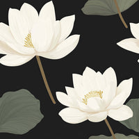 Black Wallpaper