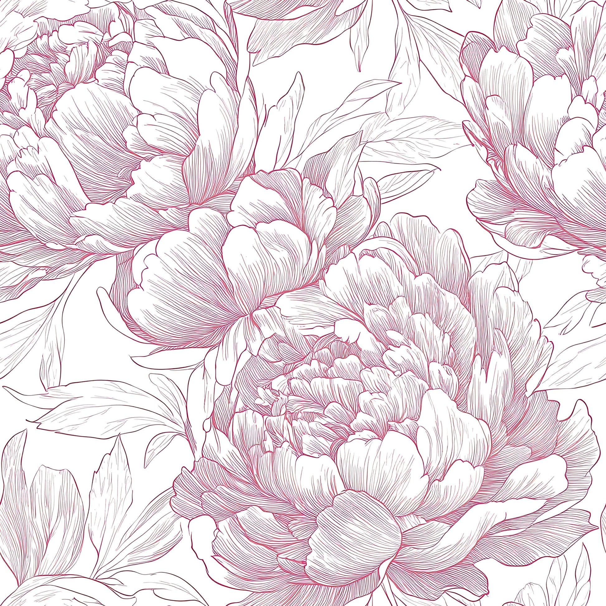 Monochromatic wallpaper featuring delicate peony flowers in rose-colored lines on a white background, blending vintage and modern aesthetics.