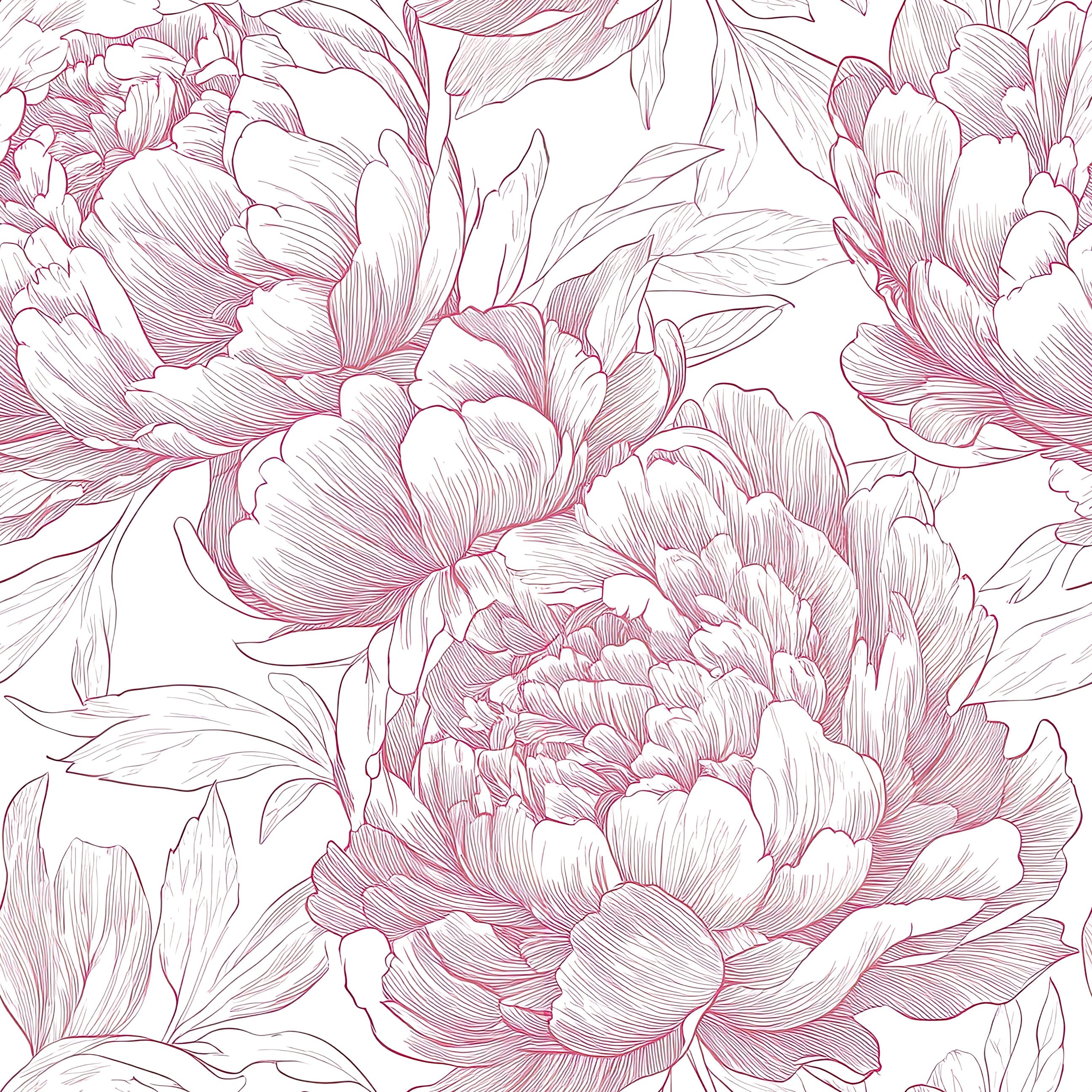 Monochromatic wallpaper featuring delicate peony flowers in rose-colored lines on a white background, blending vintage and modern aesthetics.