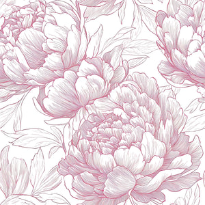 Monochromatic wallpaper featuring delicate peony flowers in rose-colored lines on a white background, blending vintage and modern aesthetics.