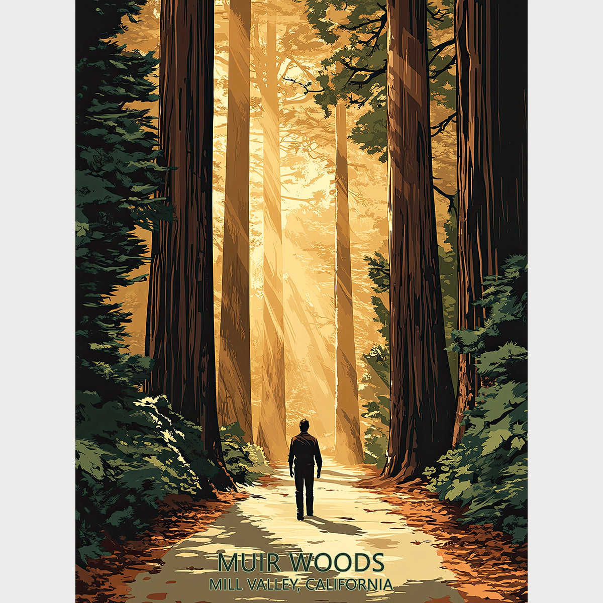 Vintage travel poster of Muir Woods, California, showcasing sunlight through majestic trees and a walker on a serene path.