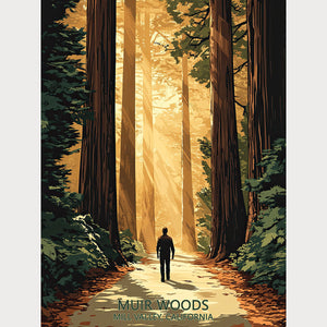 Vintage travel poster of Muir Woods, California, showcasing sunlight through majestic trees and a walker on a serene path.