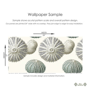 Nautical Luxe wallpaper sample featuring detailed sea urchin design, showcasing modern coastal elegance for bathrooms and living spaces.