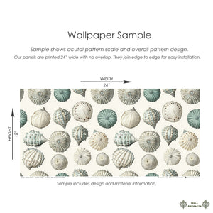 Ocean Gems coastal wallpaper with seashells, perfect for modern beach-inspired interiors. Sample shows pattern scale and design.